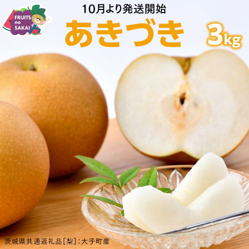 あきづき 梨 3kg （6～8玉）【2026年10月より発送開始】（茨城県共通返礼品 [梨]：大子町産） なし 旬 お取り寄せ フルーツ 甘い ジューシー 和梨 時期 秋月 [FC13-NT] 2618325 - 茨城県つくばみらい市