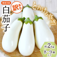 【訳あり】とろ～り旨なす(白茄子) 約2kg 8～9個【2026年7月初旬～9月末頃順次発送】／ B-フレスコ葛城 葛城産 大和野菜  しろなす  なすび  なす農家直送 産直 新鮮 旬 名産 奈良県 葛城市【bfrk002】