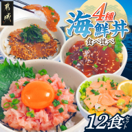 彩り豊かな海鮮丼食べ比べ12食セット_19E-M3-001-12
