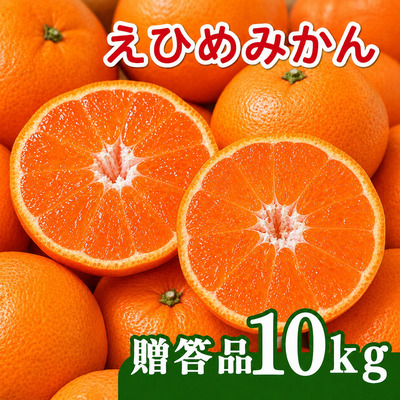 【先行予約】贈答品 愛媛みかん 10kg 傷み補償 500g 増量 発送期間 2026年11月上旬以降 みかん 愛媛みかん 温州みかん 南柑20号 柑橘 蜜柑 かんきつ 冬 秋 旬 正月 愛媛 愛媛県 愛南町 お歳暮 プレゼント くだもの 果物 フルーツ スイーツ おやつ お菓子 和菓子 甘い 糖度 オレンジ 冷凍 みかん ジュース 清家ばんかんビレッジ 2618479 - 愛媛県愛南町