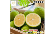 ［先行予約］紀州和歌山 ご家庭用 有田 レモン 1kg［MS150］
