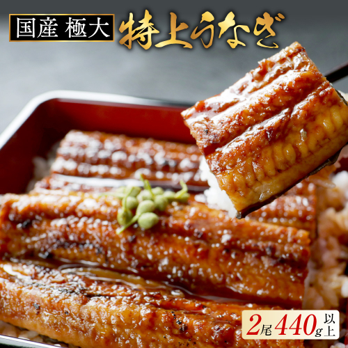（6月）国産 極大 特上うなぎ(220g×2尾) 2618665 - 北海道別海町
