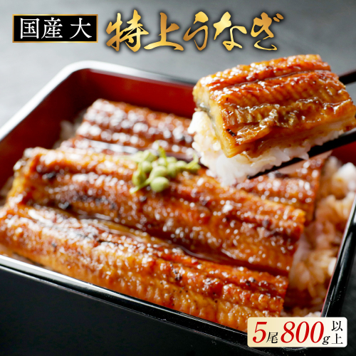 国産 大 特上うなぎ(160g×5尾) 2618669 - 北海道別海町