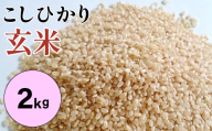 大山の一粒　玄米 2kg