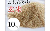 大山の一粒　玄米 10kg