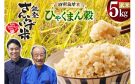 米 令和7年産 特別栽培米 ひゃくまん穀 5kg 玄米 [合同会社NotoSunriseFarm 石川県 宝達志水町 38601361] コメ こめ お米 ごはん ひゃくまんごく 5キロ 能登 令和7年