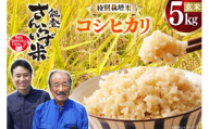 米 令和7年産 特別栽培米 コシヒカリ 5kg 玄米 [合同会社NotoSunriseFarm 石川県 宝達志水町 38601357] コメ こめ お米 ごはん コシヒカリ 5キロ 能登 令和7年