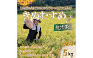 令和7年産 原田農園きぬむすめ無洗米5kg