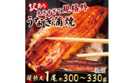 ＜訳あり＞ うなぎ 蒲焼き 1尾 計300g以上 (1尾あたり300g～330g×1尾) 冷凍 たれ 山椒 鰻 ウナギ うな重 ひつまぶし かばやき 訳アリ 丑の日 茨城県 【そうざい男しゃく】【ho1684】