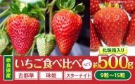 【2027年1月～2027年3月上旬発送】「奈良県産いちご3種セット」化粧箱入りいちご 食べ比べ いちご イチゴ 苺 古都華 珠姫 スターナイト 化粧箱 生駒いちご園 果物 フルーツ デザート 贈り物 お取り寄せ お取り寄せフルーツ 奈良県 生駒市 送料無料