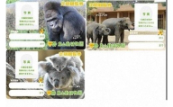 東山動植物園定期観覧券 【東山動植物園寄附金専用】