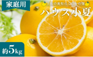 【5月14日入金分まで今季発送】小夏 5kg 日向夏  訳あり 高知 家庭用 土佐 ハウス小夏 訳あり 日向夏 こなつ 果物 フルーツ 土佐の高知のくだもの畑 【先行予約】 柑橘 おいしい 国産 甘い 小夏 5kg kd-0030