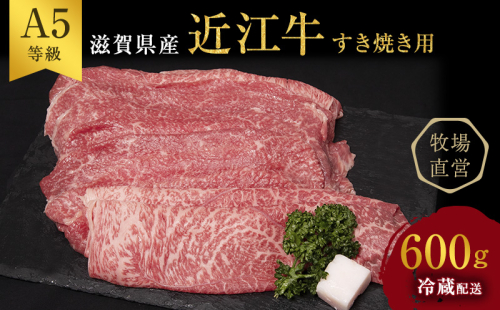 【（限定）父の日までに届く】近江牛 西川畜産 近江牛 すき焼き 約600g A5 雌牛 モモ・カタ・ウデ・バラ系等 【６/21までに着】 2619106 - 滋賀県豊郷町