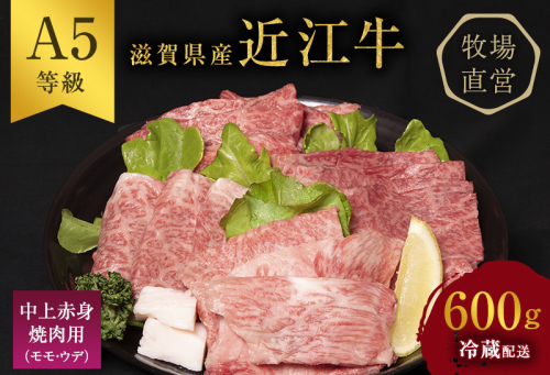 【（限定）父の日までに届く】近江牛 西川畜産 近江牛 焼肉 中上赤身焼肉用 約600g A5 雌牛 牛肉 黒毛和牛 焼き肉 焼肉用 バーベキュー 赤身 肉 お肉 牛 和牛 ブランド牛【６/21までに着】 2619107 - 滋賀県豊郷町