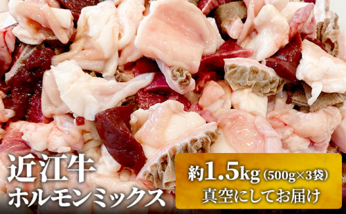 【（限定）父の日までに届く】近江牛 西川畜産 近江牛ホルモンミックス 約1.5kg ふるさと納税 牛肉 お肉 もつ鍋 牛肉炒め物 ブランド牛【６/21までに着】 2619108 - 滋賀県豊郷町