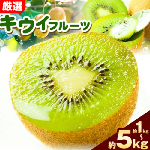 先行予約 厳選 キウイ フルーツ 約1kg 約2.5kg 約5kg 各＋250g (傷み補償分) 池田鹿蔵農園@日高町（池田農園株式会社）《11月中旬～2027年4月下旬出荷》和歌山県 日高町 キウイ キウイフルーツ 果物 フルーツ きうい 【配送不可地域あり】 2619134 - 和歌山県日高町