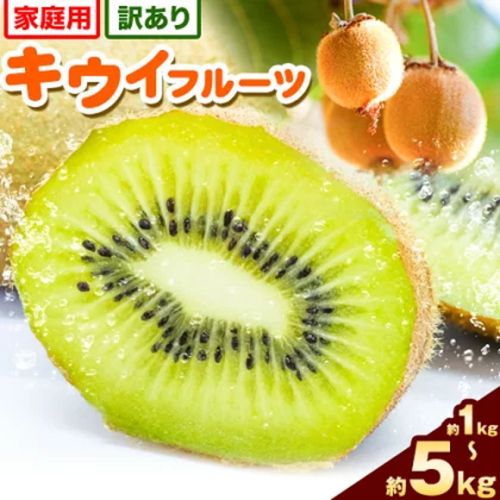 先行予約 ご家庭用 キウイ フルーツ 約1kg 約2.5kg 約5kg 各＋250g (傷み補償分) 池田鹿蔵農園@日高町（池田農園株式会社）《11月中旬～2027年4月下旬出荷》【配送不可地域あり】和歌山県 日高町 わけあり 訳あり 扁平果 2619136 - 和歌山県日高町