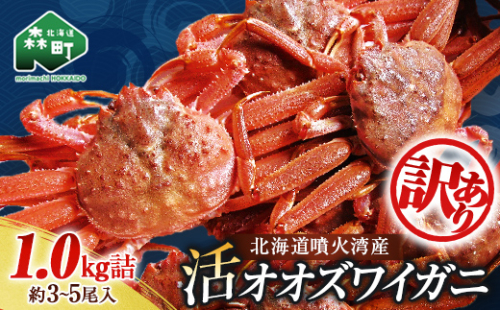 【訳あり】北海道噴火湾産 活オオズワイガニ1kg ＜道産ネットミツハシ＞ かに カニ 蟹 ガニ がに 森町 ふるさと納税 北海道 ずわいがに mr1-1218 2619166 - 北海道森町