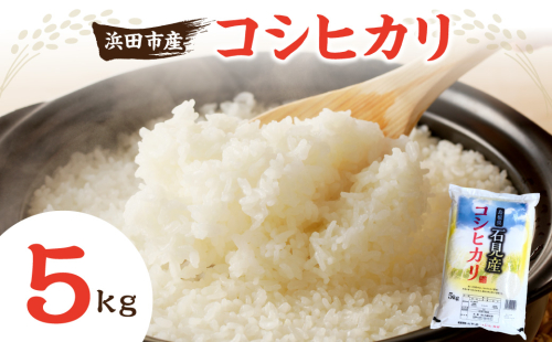 浜田市産コシヒカリ5kg(5kg×1袋) 米 お米 コシヒカリ ご飯 新生活 浜田市産 【197_1967】 2619169 - 島根県浜田市