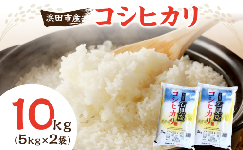浜田市産コシヒカリ10kg (5kg×2袋) 米 お米 コシヒカリ ご飯  新生活 浜田市産 【197_1968】 2619170 - 島根県浜田市