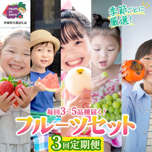 【定期便】フルーツセット（3回定期）（茨城県共通返礼品） 茨城県 県産 つくばみらい市 人気 厳選 果物 くだもの 旬 旬の果物 旬のフルーツ 上級品 極上 贅沢 極み フルーツ フルーツセット ギフト プレゼント 2619224 - 茨城県つくばみらい市
