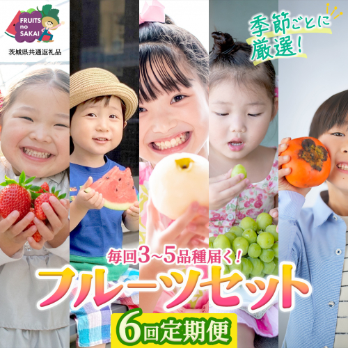 【定期便】フルーツセット（6回定期）（茨城県共通返礼品） 茨城県 県産 つくばみらい市 人気 厳選 果物 くだもの 旬 旬の果物 旬のフルーツ 上級品 極上 贅沢 極み フルーツ フルーツセット ギフト プレゼント 2619392 - 茨城県つくばみらい市