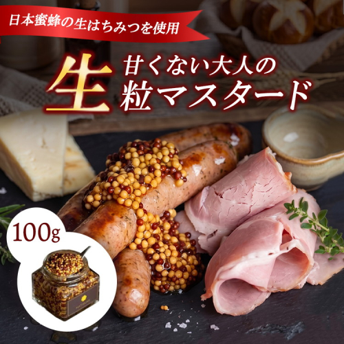 完全非加熱 生マスタード 100g×1個 無添加 粒マスタード 瓶詰 調味料 スパイス お取り寄せ 手作り 高級 ギフト 人気 2619430 - 京都府亀岡市