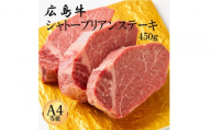広島牛 シャトーブリアン 450g（150g×3）