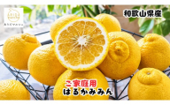 【先行予約】 【人気柑橘】 有田 育ちの はるか みかん（ 訳あり 家庭用 ） 1kg+200g(傷み補償分)  / 柑橘 果物 フルーツ 和歌山 ※2027年1月下旬～2月下旬に順次発送 ※北海道・沖縄・その他離島地域は発送不可【ard019-c-1】