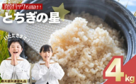 お米 令和8年産 とちぎの星 玄米 2kg×2袋【2026年 先行予約】 | 栃木県共通返礼品 栃木県 矢板市