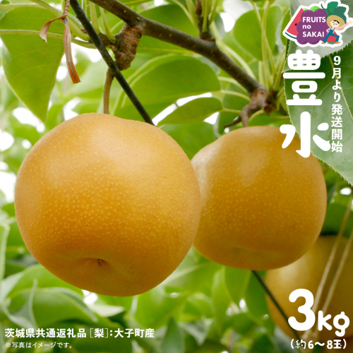豊水 梨 3kg （6〜8玉）【2026年9月より発送開始】（茨城県共通返礼品 [梨]：大子町産） なし 旬 お取り寄せ フルーツ 甘い ジューシー 和梨 時期 [FC12-NT] 2619573 - 茨城県つくばみらい市