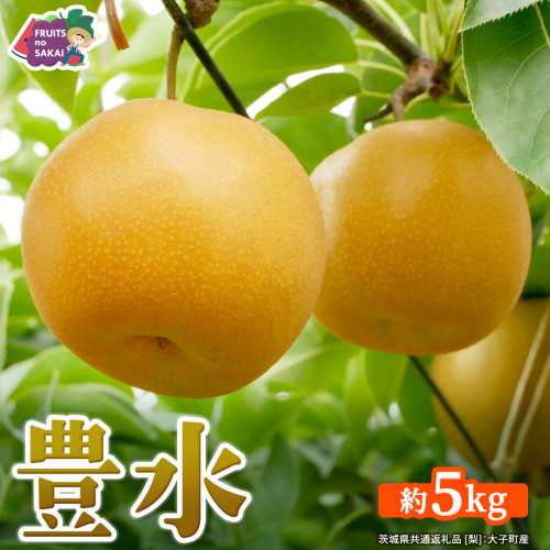豊水 梨 約5kg 【2026年9月より発送開始】（茨城県共通返礼品 [梨]：大子町産） なし 旬 お取り寄せ フルーツ 甘い ジューシー 和梨 時期 [FC05-NT] 2619575 - 茨城県つくばみらい市
