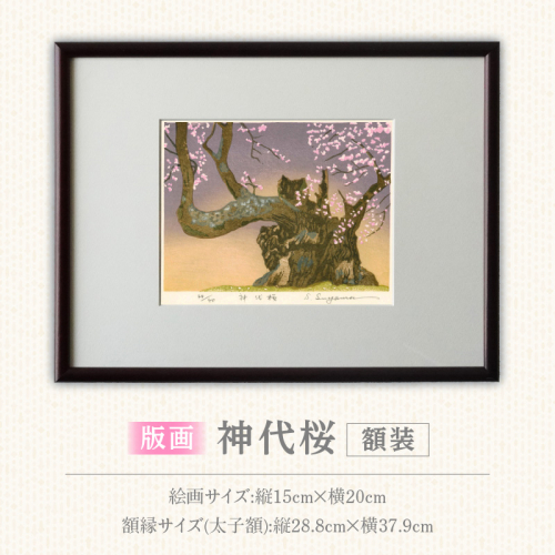 版画「神代桜」［201M08］ 2619576 - 愛知県小牧市