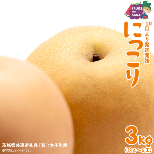 にっこり 梨 3kg （4～5玉）【2026年10月より発送開始】（茨城県共通返礼品 [梨]：大子町産） なし 旬 お取り寄せ フルーツ 甘い ジューシー 和梨 時期 [FC14-NT] 2619577 - 茨城県つくばみらい市