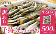 【訳あり】子持ちシシャモ 500g（500g×1袋） mi0012-0186 【 傷 小分け カラフトシシャモ 天ぷら フライ 焼魚 おかず 惣菜 】