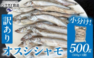 【訳あり】オスシシャモ 500g（500g×1袋） mi0012-0188 【ししゃも 魚 オス カラフトししゃも 魚介 海産物】