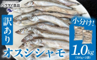 【訳あり】オスシシャモ 1.0kg（500g×2袋）mi0012-0189 【ししゃも 魚 オス カラフトししゃも 魚介 海産物】