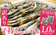 【訳あり】子持ちシシャモ 1.0kg（500g×2袋）mi0012-0187 【 傷 小分け カラフトシシャモ 天ぷら フライ 焼魚 おかず 惣菜 】