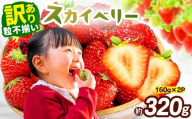 訳あり 粒不揃い スカイベリー 320g (160g×2P) 【2027年先行予約】 いちご 苺 | 栃木県 矢板市