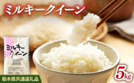 米 ミルキークイーン 5kg 栃木県産【栃木県共通返礼品】