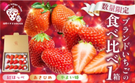 3種のイチゴ食べ比べセット 1パック 1箱  紅ほっぺ あきひめ やよい姫 章姫 北野イチゴHOUSE いちご イチゴ 苺 ブランド 甘い 美味しい おススメ 人気 旬 フルーツ 果物 贈答 ギフト  セット 食べ比べ プレゼント 愛知県 豊橋市