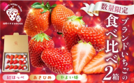 3種のイチゴ食べ比べセット  2パック 2箱  紅ほっぺ あきひめ やよい姫 章姫 北野イチゴHOUSE いちご イチゴ 苺 ブランド 甘い 美味しい おススメ 人気 旬 フルーツ 果物 贈答 ギフト セット 食べ比べ プレゼント 愛知県 豊橋市