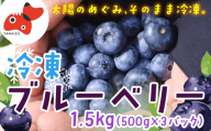 ＜摘みたて冷凍＞ 自然 の中で 育った 冷凍 ブルーベリー ( 500g × 3パック )【1735459】