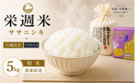 令和８年産 栄週米 乾田直まきササニシキ（精米）５kg（オリジナル布袋化粧箱入り）※10月上旬より順次発送予定【isff007】