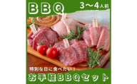 【10月発送】広島牛お手軽BBQセット 3～4人前
