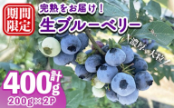 ＜先行予約受付中！2026年6月下旬以降順次発送予定＞完熟ブルーベリー 400g （200g×2パック） ブルーベリー 果物 フルーツ 青果物 冷蔵 スムージー ヨーグルト おやつ 【常陸太陽の庭】【ho1674】