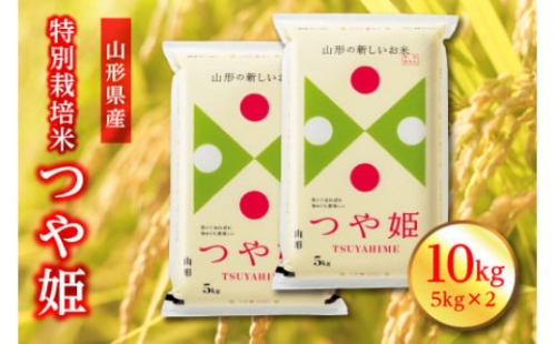 山形県産 特別栽培米 つや姫 10kg(5kg×2) F2Y-3080