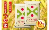 【先行予約 2024年10月発送】山形県産 特別栽培米 つや姫 10kg(5kg×2) F2Y-3908