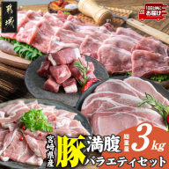 宮崎県産豚 満腹バラエティ3kgセット≪みやこんじょ特急便≫