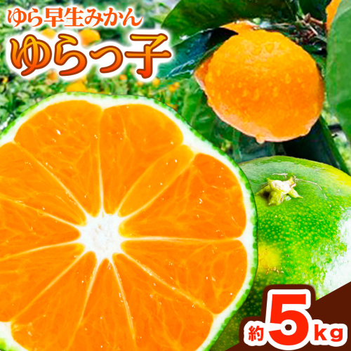 【先行予約】ゆら早生みかん「ゆらっ子」 約5kg JA紀州産直店 さわやか日高（日高川町）《10月上旬-11月上旬頃出荷》 和歌山県 日高川町 ゆら早生みかん みかん 早生 柑橘 蜜柑 フルーツ 2620001 - 和歌山県日高川町